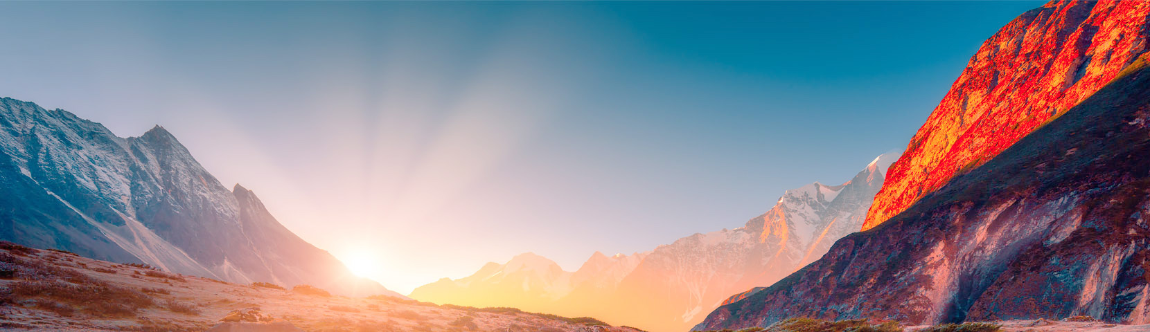 关于赏金船长下载